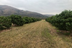 72626601_2535250963354938_3681955500129255424_n