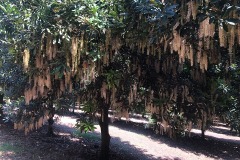 69854882_2505062306373804_2910311835959820288_n