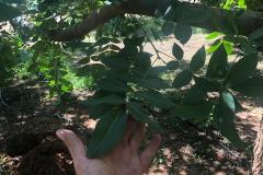 57133883_2393151534231549_5394339814080249856_n